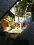 garden seen through a hole in the gate ;maybe we can build on what we have